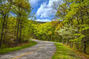 The Blue Ridge Parkway-8893.jpg The Blue Ridge Parkway-8893.jpg